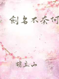 剑名不奈何结局