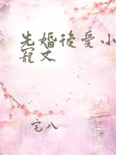 先婚后爱小说甜宠文