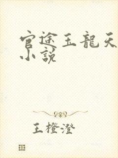 官途玉龙天骄的小说