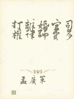 打离婚官司抚养权律师费多少钱啊