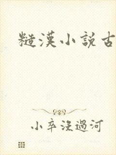 糙汉小说古代