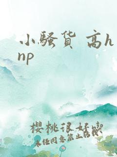 小骚货 高h np