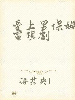 爱上男保姆剧情电视剧