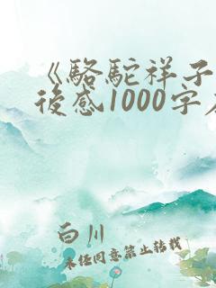 《骆驼祥子》读后感1000字左右