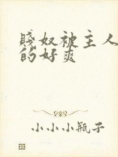 贱奴被主人调教的好爽