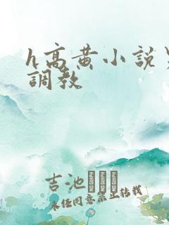 h高黄小说男男调教