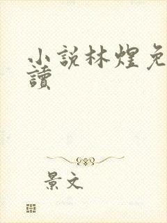小说林煜免费阅读