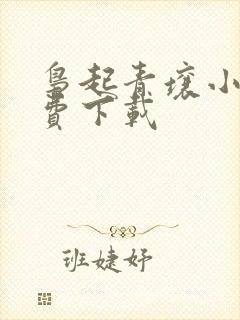 枭起青壤小说免费下载