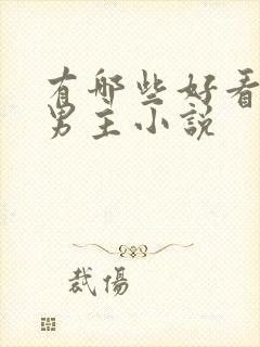 有哪些好看的双男主小说