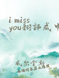 i miss you翻译成中文
