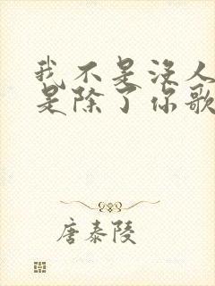 我不是没人爱只是除了你歌名