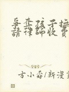 争夺孩子抚养权请律师收费标准