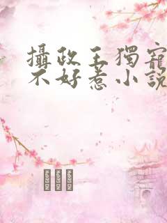 摄政王独宠医妃不好惹小说