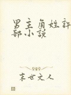 男主角姓许的全部小说