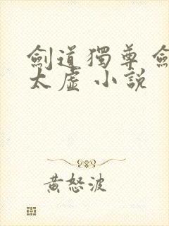 剑道独尊 剑游太虚 小说