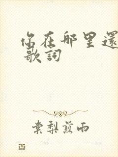 你在哪里还好吗 歌词