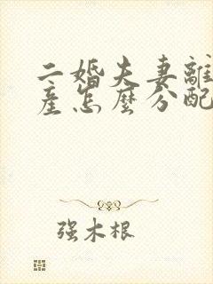 二婚夫妻离婚财产怎么分配 房子