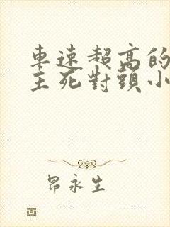 车速超高的双男主死对头小说