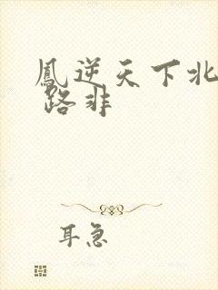 凤逆天下北月篇 路非