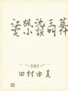 江枫沈玉蓉方雅雯小说叫什么