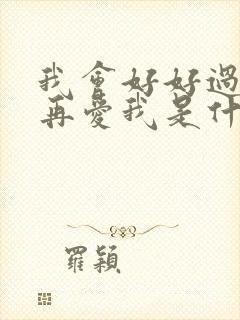 我会好好过等你再爱我是什么歌