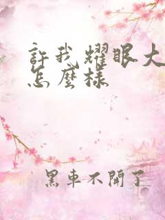 许我耀眼大结局怎么样