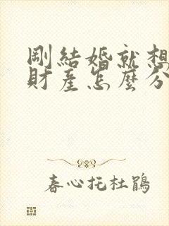 刚结婚就想离婚财产怎么分配