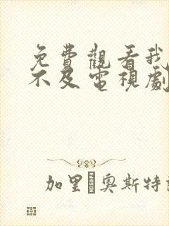 免费观看我怕来不及电视剧