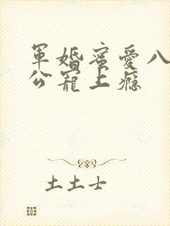 军婚蜜爱八零老公宠上瘾