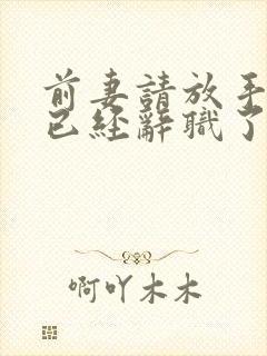 前妻请放手,我已经辞职了短剧大结局