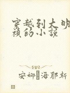 穿越到大明当崇祯的小说