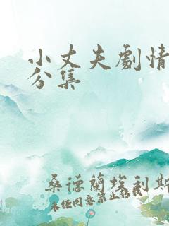 小丈夫剧情介绍分集