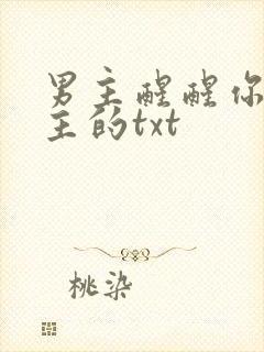 男主醒醒你是女主的txt