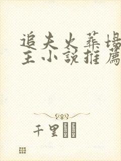 追夫火葬场双男主小说推荐