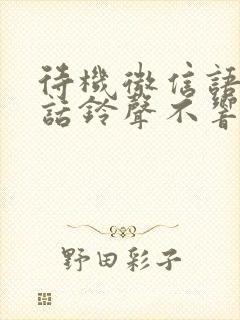 待机微信语音通话铃声不响怎么办