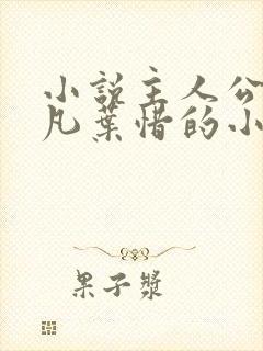 小说主人公叫林凡叶惜的小说