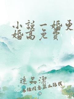 小说一婚更比一婚高免费