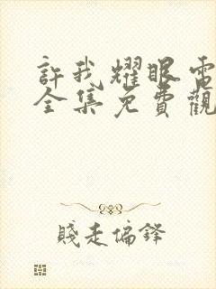 许我耀眼电视剧全集免费观看40集