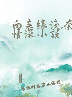 向来缘浅,奈何情深小说