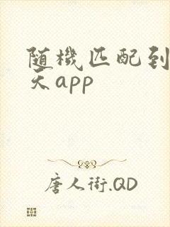 随机匹配到的聊天app