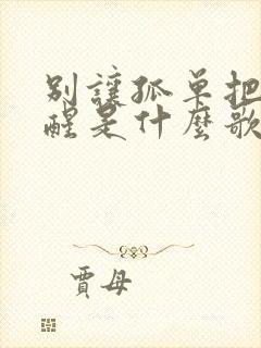 别让孤单把梦吵醒是什么歌