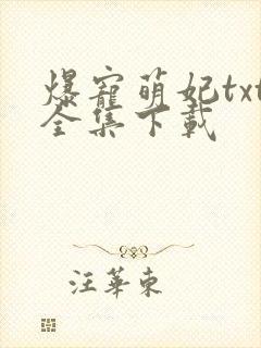 爆宠萌妃txt全集下载
