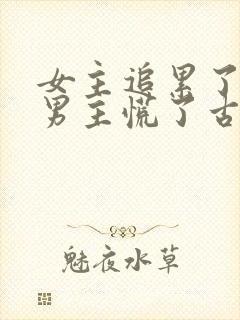 女主追累了放弃男主慌了古言