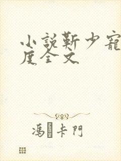 小说靳少宠妻无度全文