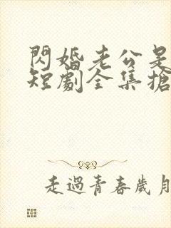 闪婚老公是豪门短剧全集抢先看