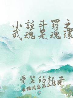 小说斗罗之我的武魂是魂环下载