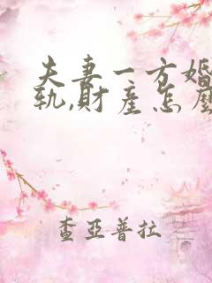 夫妻一方婚内出轨,财产怎么分配