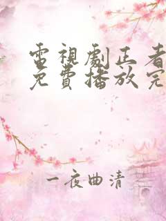 电视剧正者无敌免费播放完整版全集