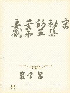 妻子的秘密电视剧第五集