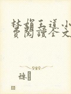 林娟王道小说免费阅读全文